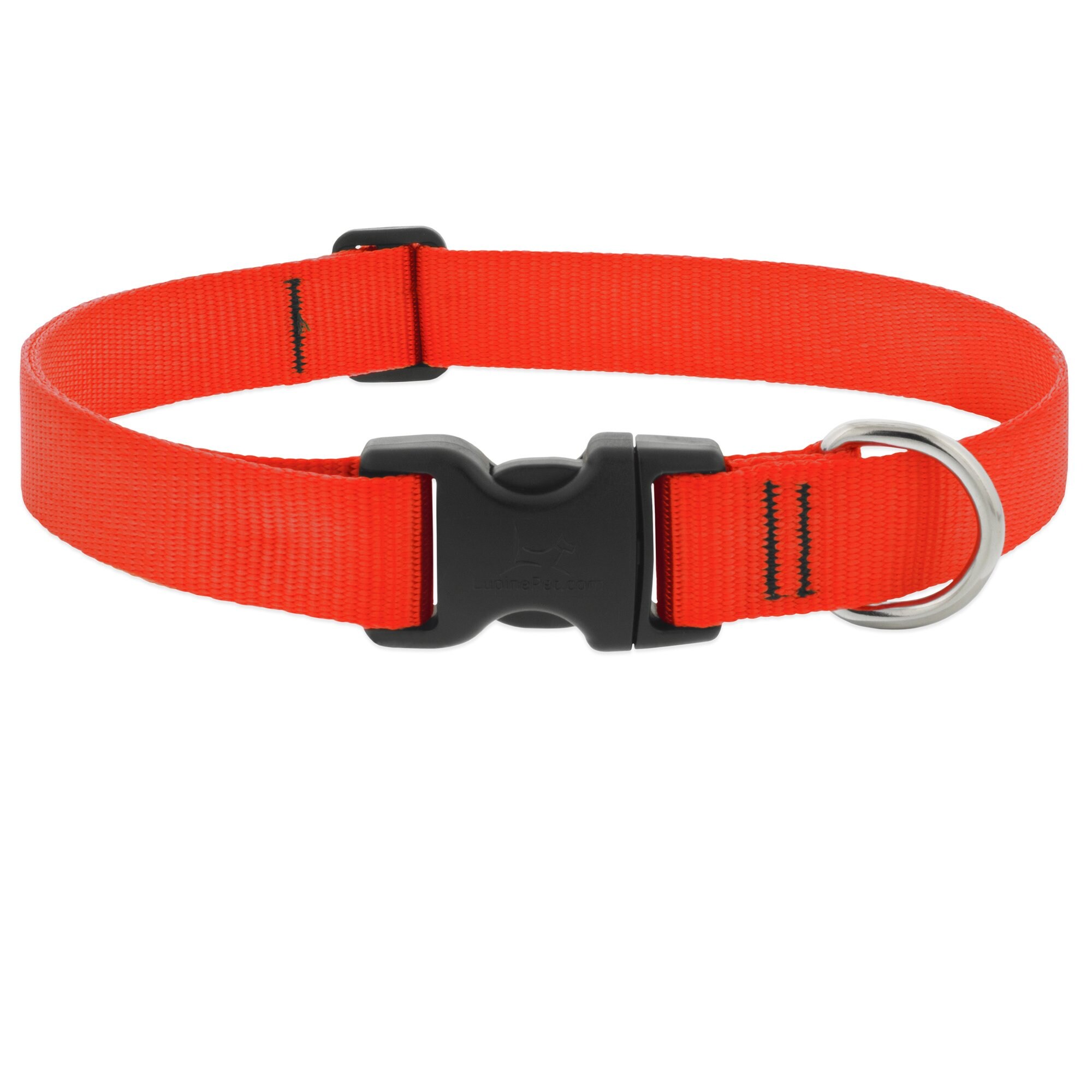 Lupinepet Basic Solid Dog Collar, Aqua, X-large: 25 To 31-in Neck, 1-in Wide
