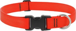 LupinePet Basic Solid Dog Collar, Blaze Orange, Medium: 12 to 20-in neck, 1-in wide