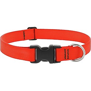 LupinePet Basic Solid Dog Collar, Blaze Orange, Medium: 12 to 20-in neck, 1-in wide