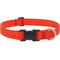 Show in main carousel: LupinePet Basic Solid Dog Collar, Blaze Orange, Medium: 12 to 20-in neck, 1-in wide slide 1 of 7