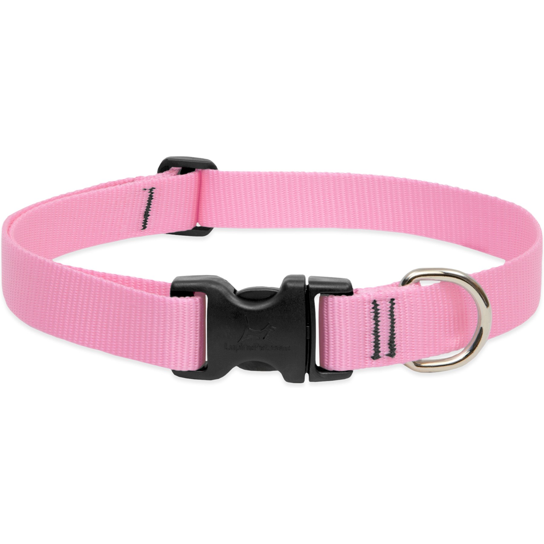 LupinePet Basic Solid Dog Collar, Pink, Large: 16 to 28-in neck, 1-in wide