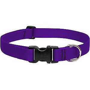 LupinePet Basic Solid Dog Collar, Purple, Large: 16 to 28-in neck, 1-in wide