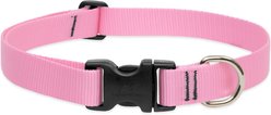 LupinePet Basic Solid Dog Collar, Pink, Medium: 12 to 20-in neck, 1-in wide