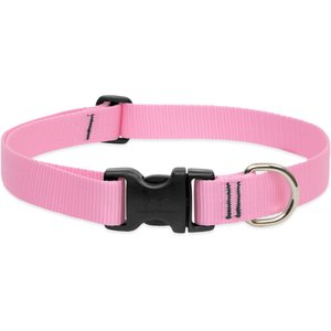LupinePet Basic Solid Dog Collar, Pink, Medium: 12 to 20-in neck, 1-in wide