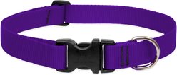LupinePet Basic Solid Dog Collar, Purple, Medium: 12 to 20-in neck, 1-in wide