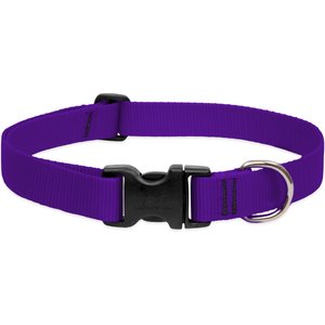 LupinePet Basic Solid Dog Collar, Purple, Medium: 12 to 20-in neck, 1-in wide