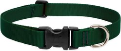 LupinePet Basic Solid Dog Collar, Green, Large: 16 to 28-in neck, 1-in wide
