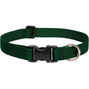 LupinePet Basic Solid Dog Collar, Green, Large: 16 to 28-in neck, 1-in wide