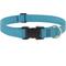Show in main carousel: LupinePet Basic Solid Dog Collar, Aqua, X-Large: 25 to 31-in neck, 1-in wide slide 1 of 6