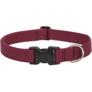 LupinePet Eco Dog Collar, Berry, Large: 16 to 28-in neck, 1-in wide