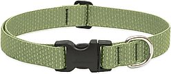 LupinePet Eco Dog Collar, Moss, Medium: 12 to 20-in neck, 1-in wide