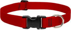 LupinePet Basics Nylon Standard Dog Collar, Red, Large: 16 to 28-in neck, 1-in wide