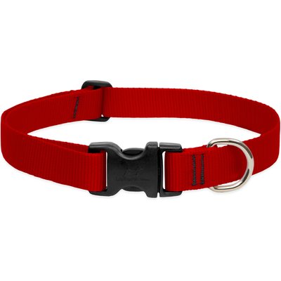 LupinePet LupinePet Basics Nylon Standard Dog Collar, Red, Large: 16 to 28-in neck, 1-in wide