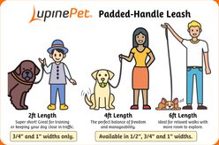 LupinePet Padded Handle Dog Leash, Rose Garden, Regular: 6-ft long, 1-in wide slide 2 of 6