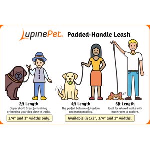LupinePet Padded Handle Dog Leash, Rose Garden, Regular: 6-ft long, 1-in wide