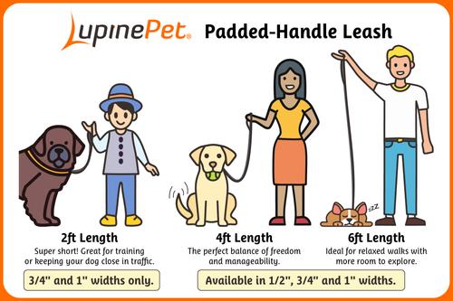 Show full view: LupinePet Basic Solid Padded Handle Dog Leash, Aqua, Regular: 4-ft long, 3/4-in wide slide 3 of 5