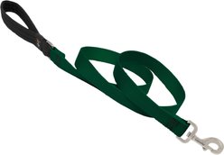 LupinePet Basic Solid Padded Handle Dog Leash, Green, Regular: 6-ft long, 1-in wide