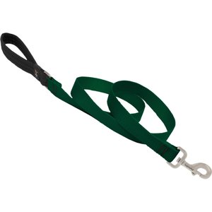 LupinePet Basic Solid Padded Handle Dog Leash, Green, Regular: 6-ft long, 1-in wide