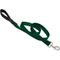 Show in main carousel: LupinePet Basic Solid Padded Handle Dog Leash, Green, Regular: 6-ft long, 1-in wide slide 1 of 5
