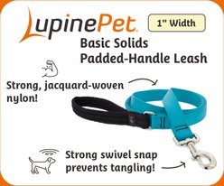 LupinePet Basic Solid Padded Handle Dog Leash, Black, Short: 2-ft long, 1-in wide slide 2 of 5