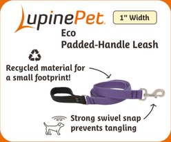 LupinePet ECO Recycled Dog Padded Handle Dog Leash, Granite, Regular: 4-ft long, 1-in wide slide 2 of 5