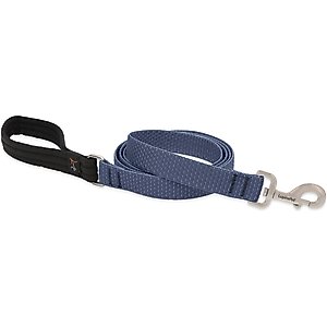 LupinePet ECO Recycled Dog Padded Handle Dog Leash, Mountain Lake, Regular: 6-ft long, 1-in wide