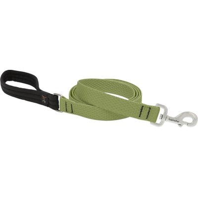 LupinePet LupinePet ECO Recycled Dog Padded Handle Dog Leash, Moss, Regular: 4-ft long, 1-in wide
