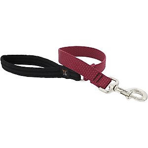LupinePet ECO Recycled Dog Padded Handle Dog Leash, Berry, Short: 2-ft long, 1-in wide