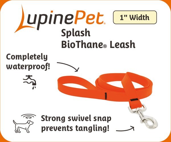 LupinePet Waterproof BioThane Padded Handle Dog Leash