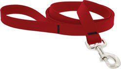 LupinePet Waterproof BioThane Padded Handle Dog Leash, Brick Red, Regular: 6-ft long, 1-in wide