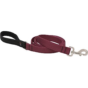 LupinePet ECO Recycled Dog Padded Handle Dog Leash, Berry, Regular: 6-ft long, 1-in wide
