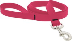 LupinePet Waterproof BioThane Padded Handle Dog Leash, Neon Pink, Regular: 6-ft long, 1-in wide