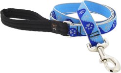 LupinePet Reflective Paws Padded Handle Dog Leash, Blue Paws, Regular: 6-ft long, 1-in wide