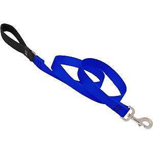 LupinePet Basic Solid Padded Handle Dog Leash, Blue, Regular: 6-ft long, 1-in wide