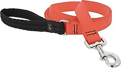 LupinePet Basic Solid Padded Handle Dog Leash, Blaze Orange, Regular: 6-ft long, 1-in wide