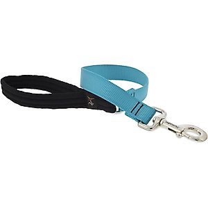 LupinePet Basic Solid Padded Handle Dog Leash, Aqua, Short: 2-ft long, 1-in wide