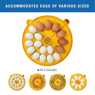 Show full view: Brinsea Maxi 24 EX Connect 24 Egg Incubator slide 7 of 9