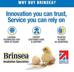 Brinsea Mini II Advance Automatic Egg Incubator slide 2 of 8