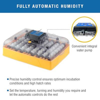 Show full view: Brinsea Ovation Ex Fully Automatic Bird Egg Incubator, 56 count slide 4 of 10