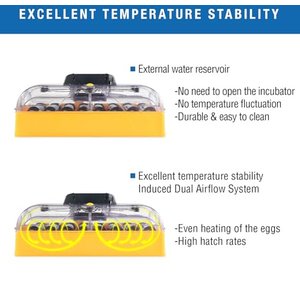 Brinsea Ovation Ex Fully Automatic Bird Egg Incubator, 56 count