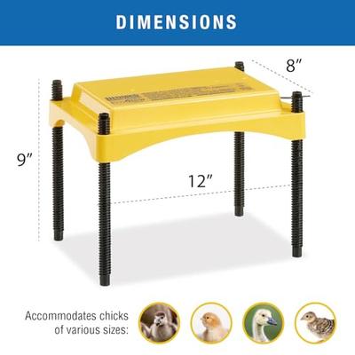 Show full view: Brinsea EcoGlow Safety Chick & Duckling Brooder, 600 slide 6 of 9