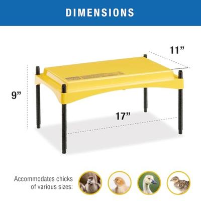 Show full view: Brinsea EcoGlow Safety Chick & Duckling Brooder, 1200 slide 6 of 9