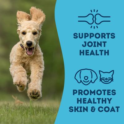 Show full view: The Granville Island Pet Treatery 'With Love & Fishes Dehydrated Sardine Dog & Cat Treats, 1.76-oz bag slide 5 of 9