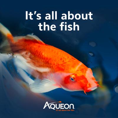 Show full view: Aqueon PURE Sludge Bomb Water Conditioner slide 9 of 10