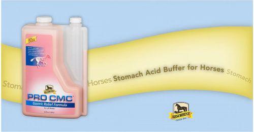 Show full view: Absorbine PRO CMC Gastric Relief Horse Supplement, 64-fl oz slide 3 of 4