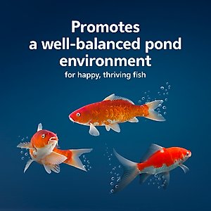Aqueon PURE Pond Bomb Water Conditioner