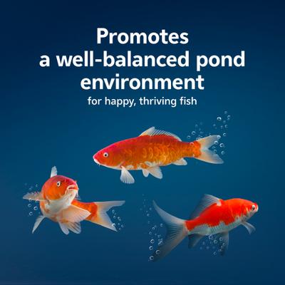 Show full view: Aqueon PURE Pond Bomb Water Conditioner slide 4 of 10