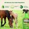 Show in main carousel: Absorbine UltraShield Green All-Natural Fly & Insect Repellent Horse & Dog Spray, 32-fl oz bottle slide 2 of 6