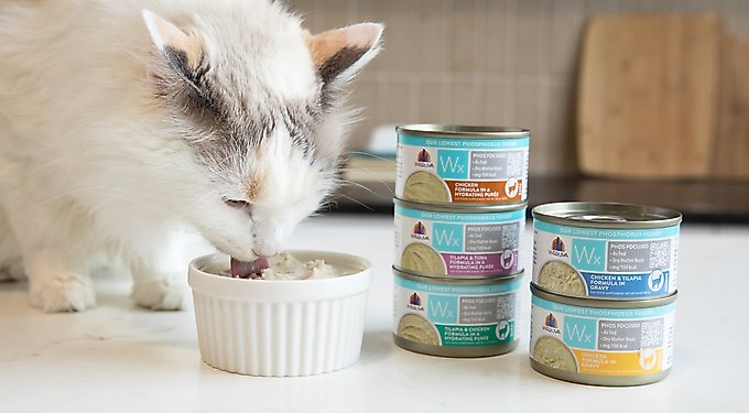Weruva Wx Phos Focused Pate & Gravy Variety Pack Grain-Free Wet Cat Food, 3-oz can, case of 12