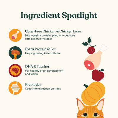 Show full view: Made by Nacho Cage-Free Chicken, Chicken Liver & Bone Broth Recipe Kittens Dry Cat Food, 4-lb bag slide 5 of 9